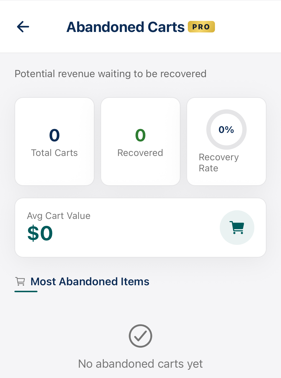 Recover abandoned carts and lost revenue